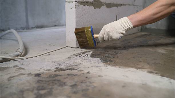 Top rated local Basement Waterproofing specialists in Smithfield, NC
